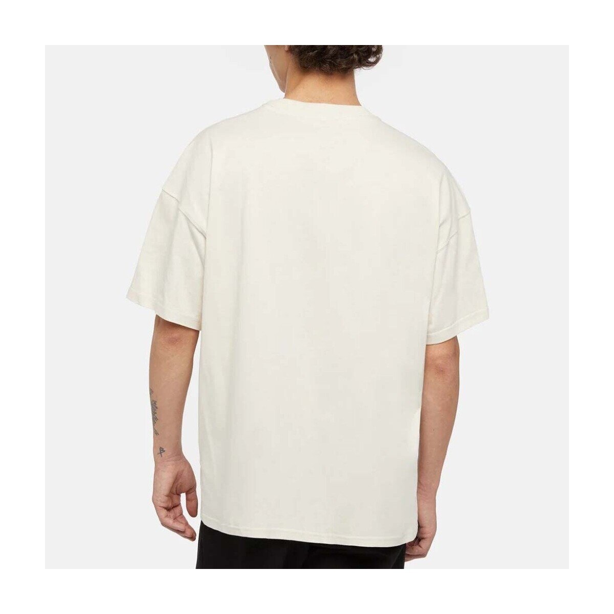 Dickies Îmbracaminte Dk0a4yrnf901