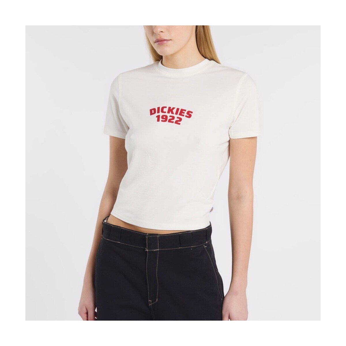 Dickies Îmbracaminte Dk0a4z8fc481 Center Logo