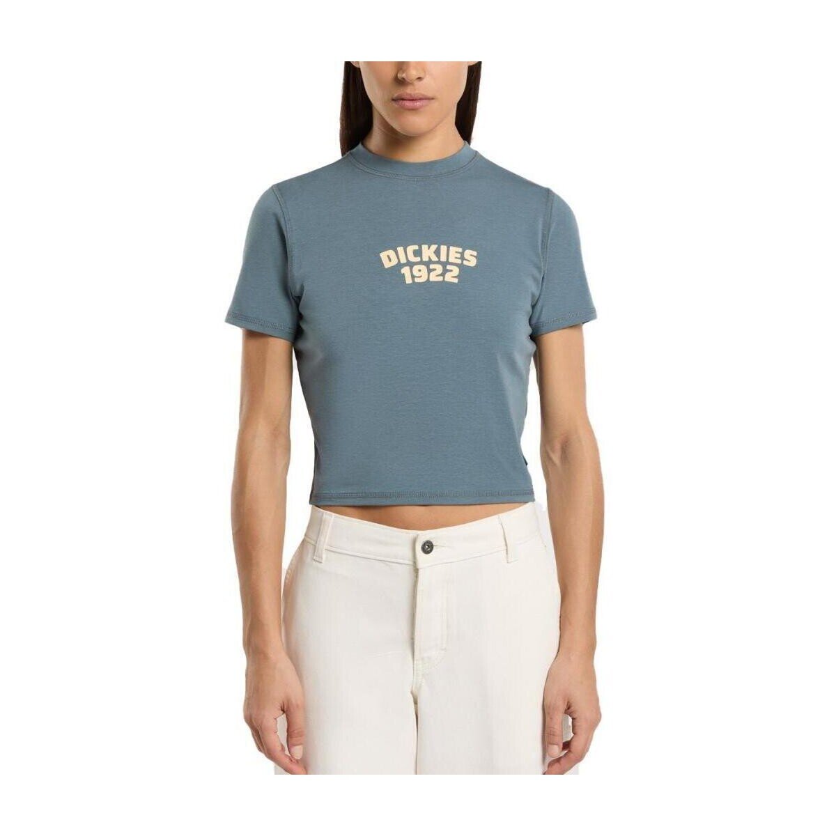 Dickies Îmbracaminte Dk0a4z8fg701 Center Logo