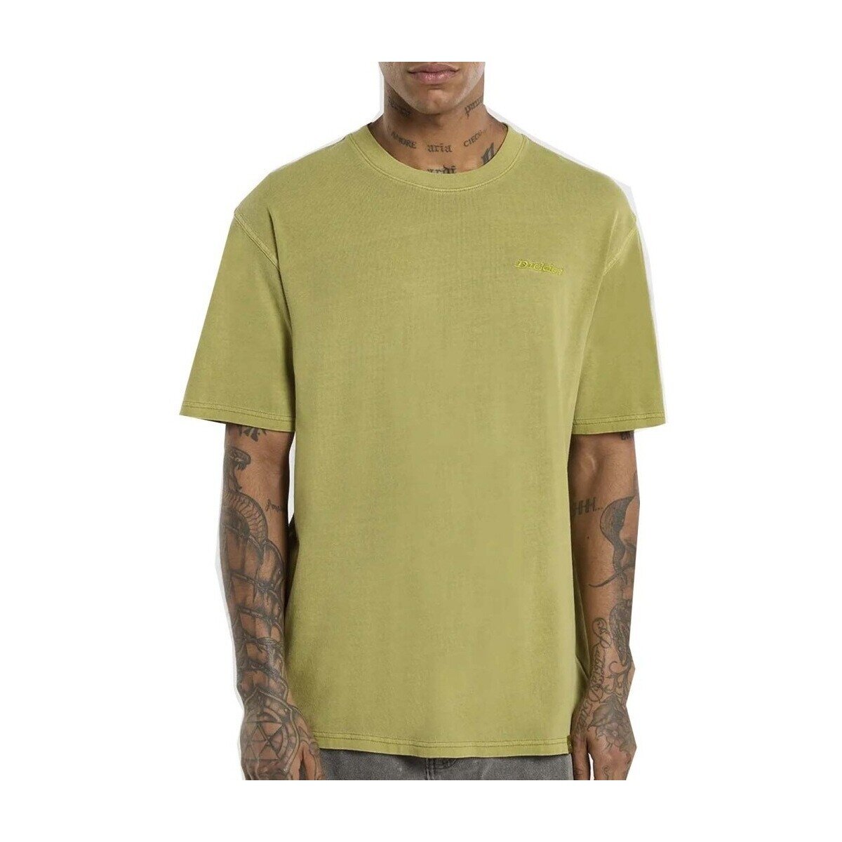 Dickies Îmbracaminte Dk0a866bl201