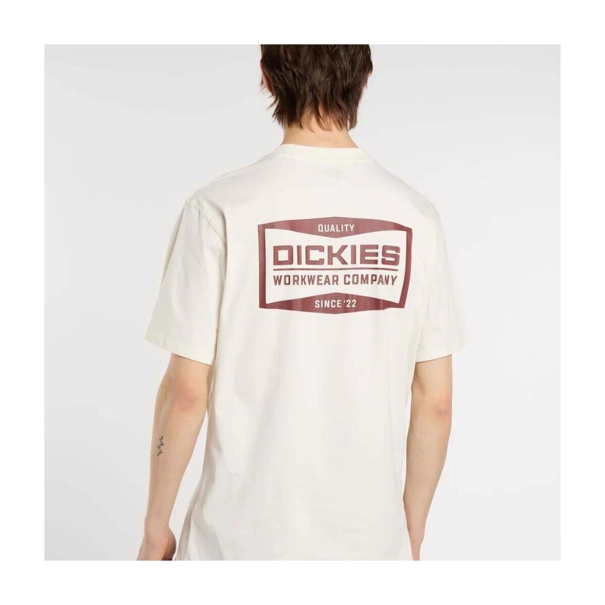 Dickies Îmbracaminte Dk0a87qkc481