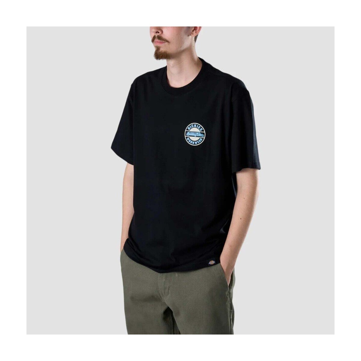 Dickies Îmbracaminte Dk0a87qlblk1