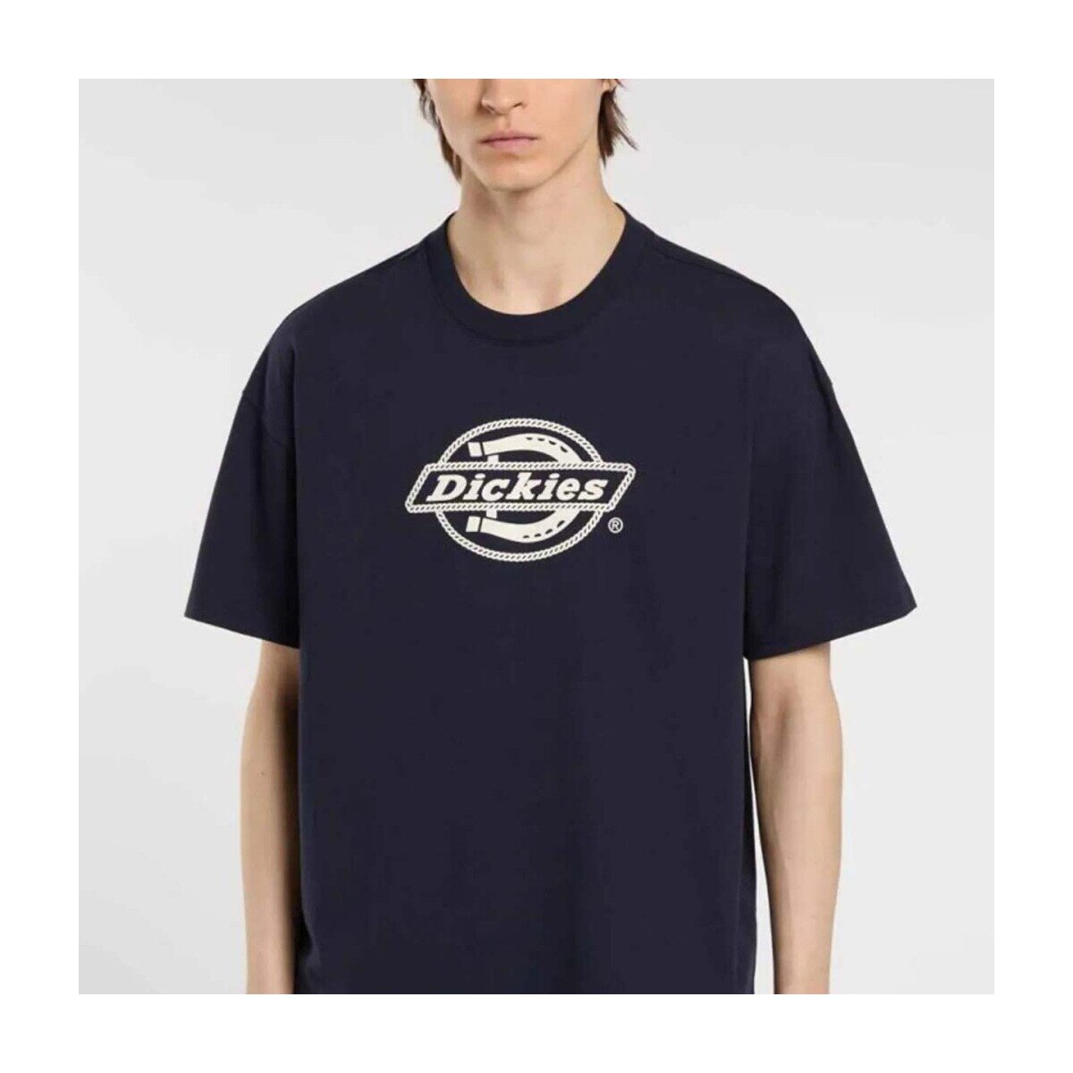 Dickies Îmbracaminte Dk0a87qsl181