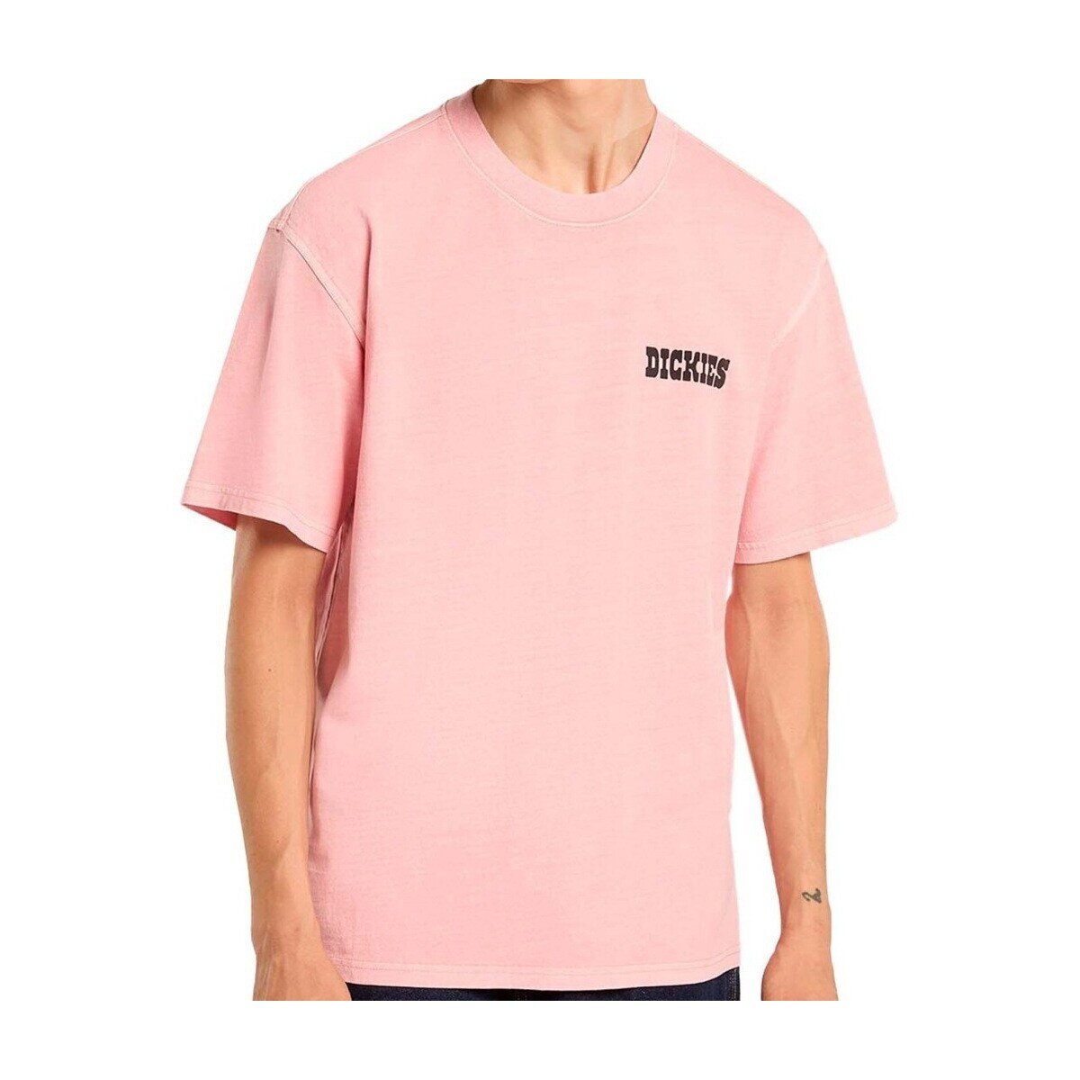 Dickies Îmbracaminte Dk0a883bl471