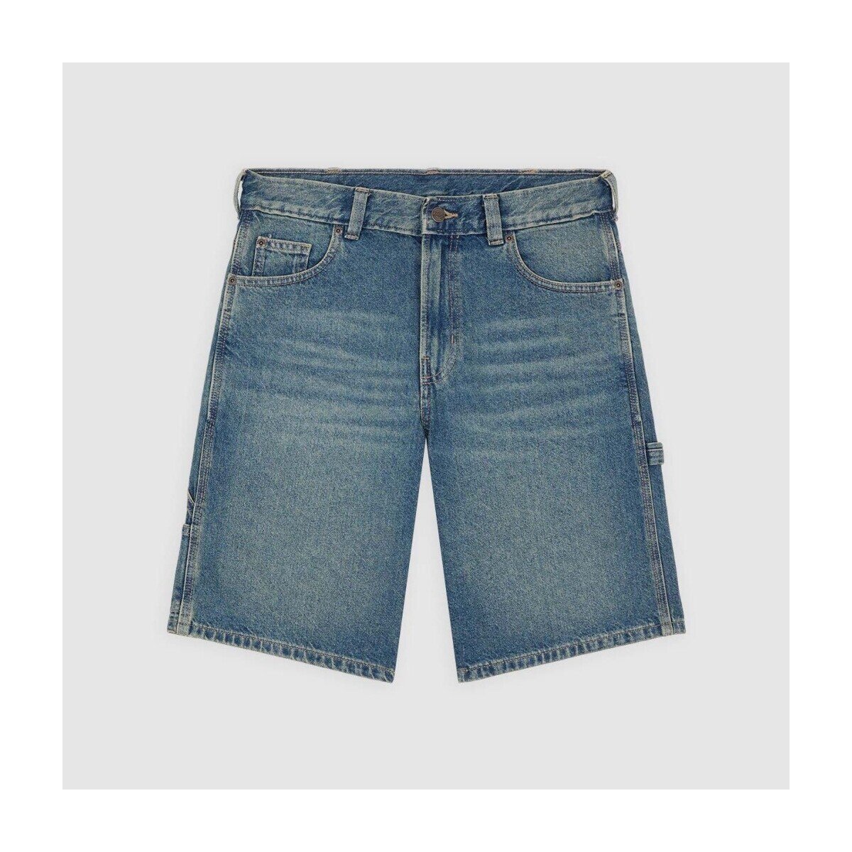 Dickies Îmbracaminte Dk0a88fcl231
