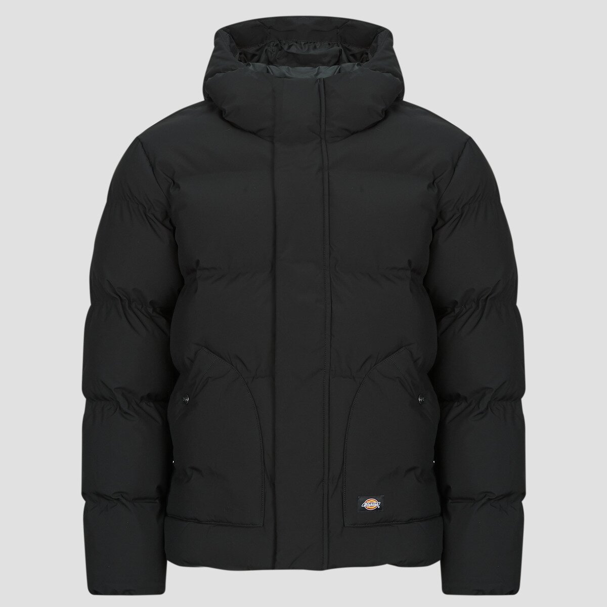 Dickies Îmbracaminte EAGLEVILLE HOODED PUFFER