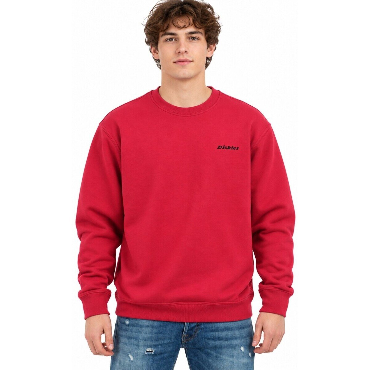 Dickies Îmbracaminte Loretto Sweatshirt