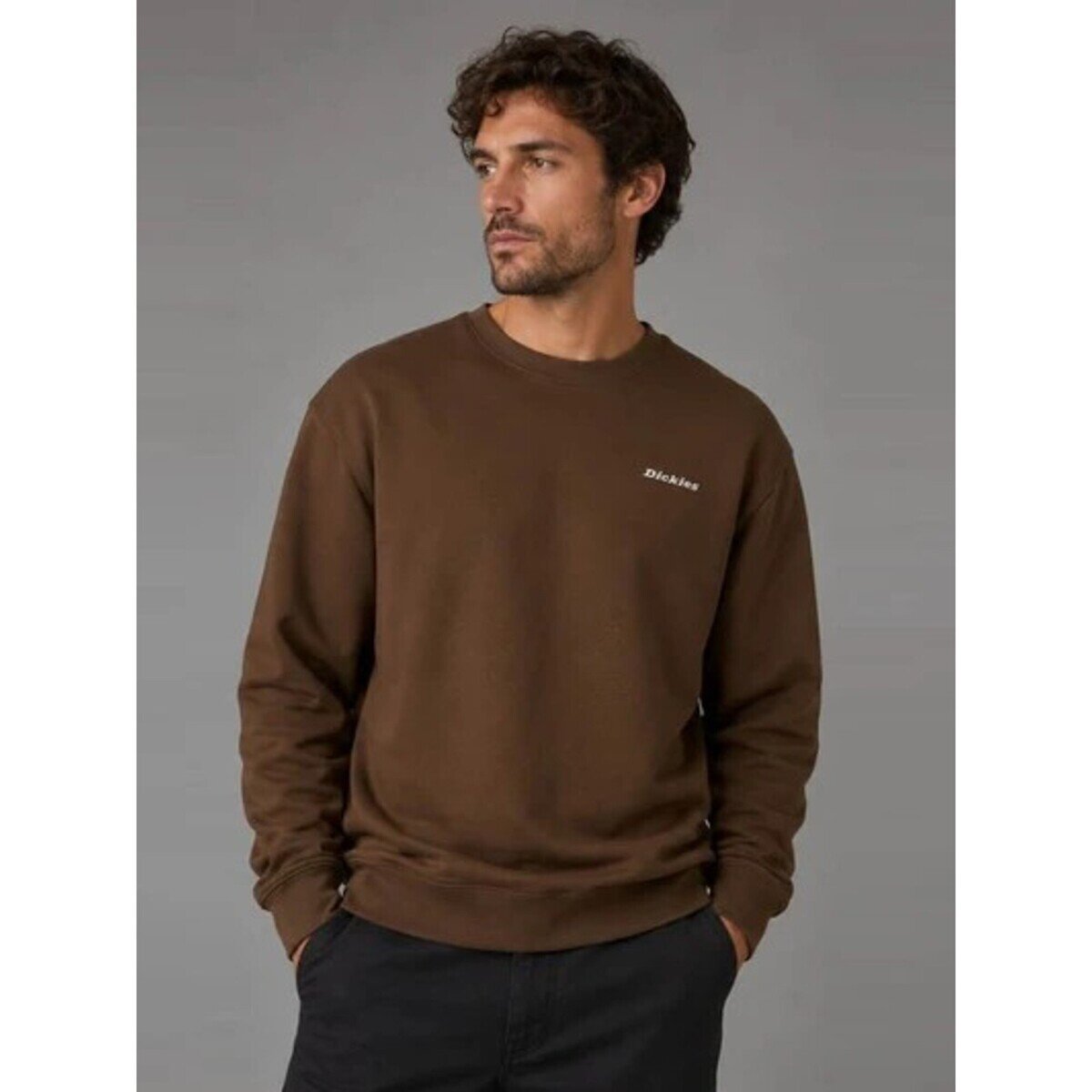 Dickies Îmbracaminte Loretto Sweatshirt