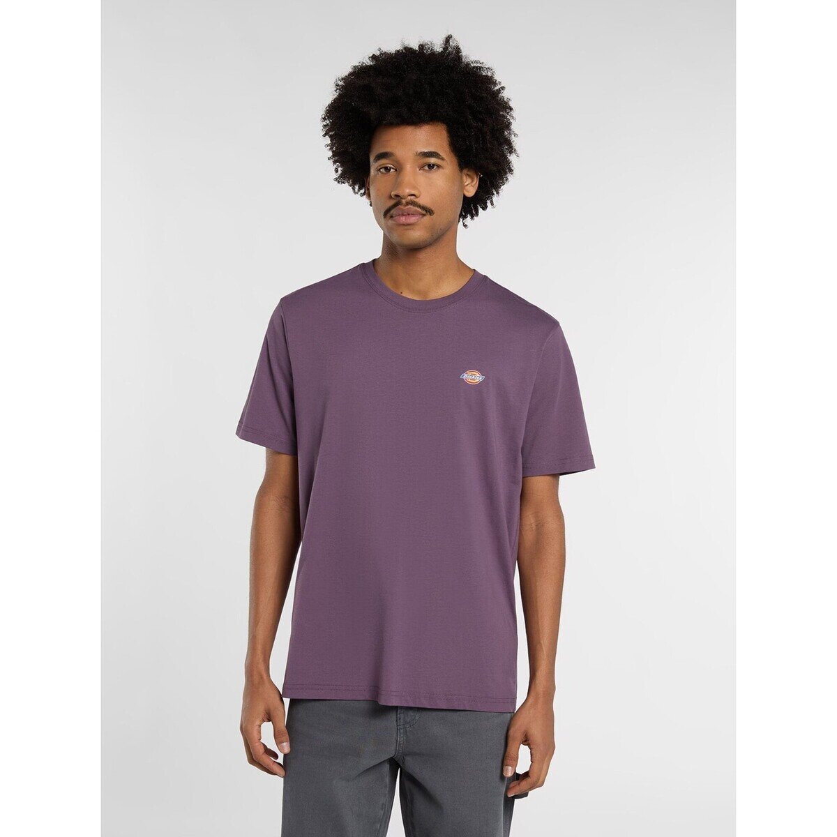 Dickies Îmbracaminte Mapleton Ss Tee