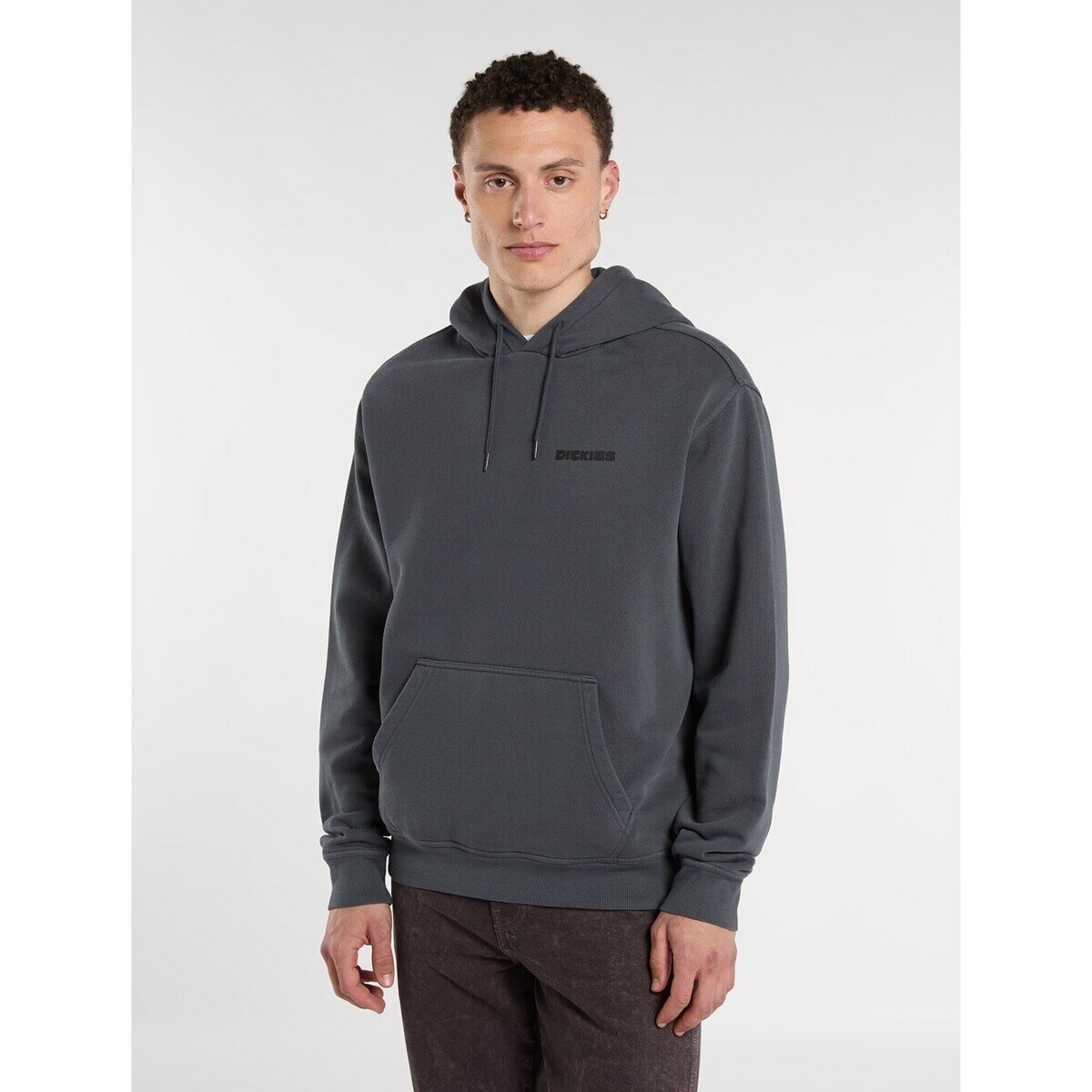 Dickies Îmbracaminte Mcdermitt Hoodie