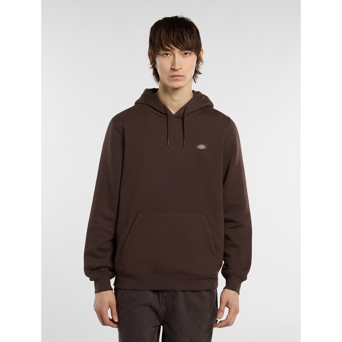Dickies Îmbracaminte Oakport Hoodie