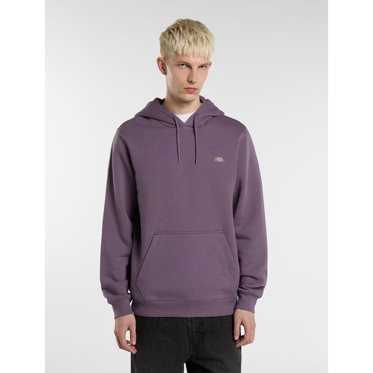 Dickies Îmbracaminte Oakport Hoodie