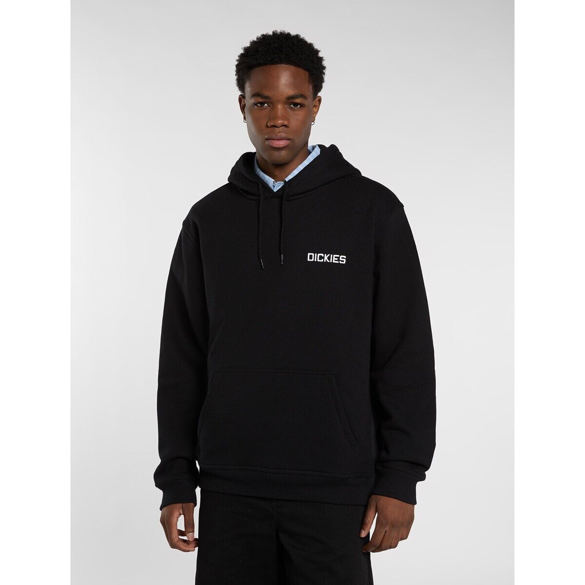 Dickies Îmbracaminte Payson Hoodie