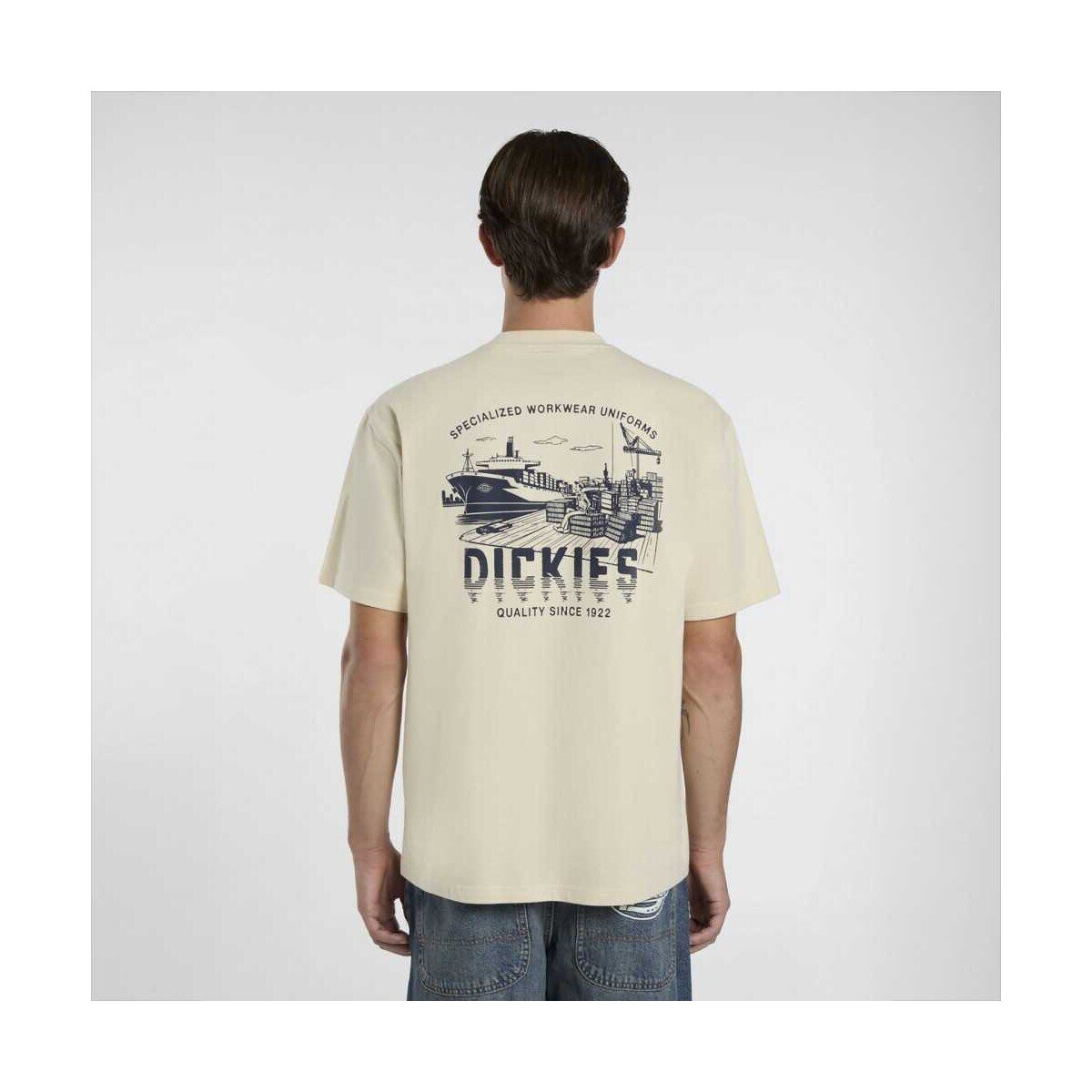Dickies Îmbracaminte Pelham tee ss