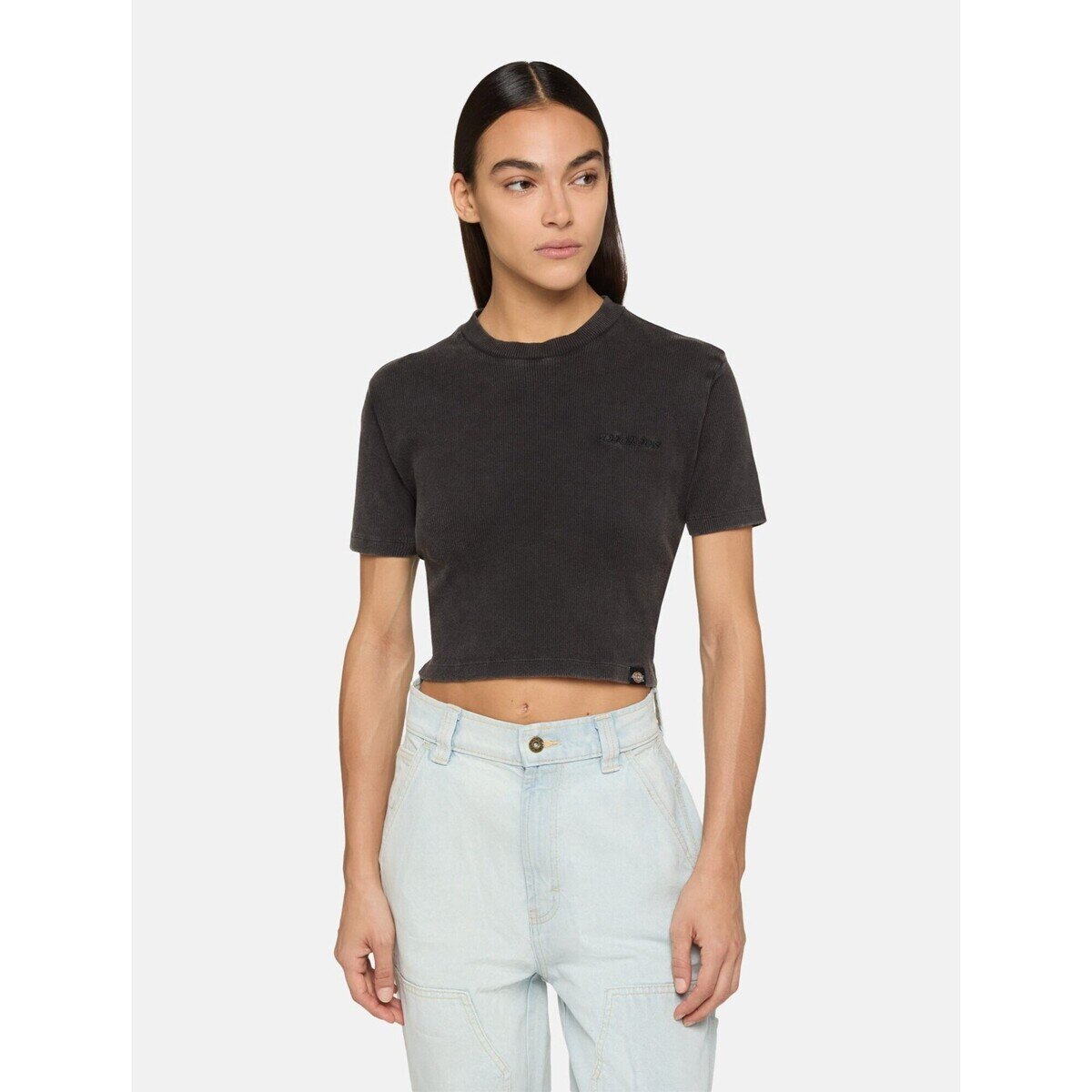 Dickies Îmbracaminte Plentywood Ss Tee W