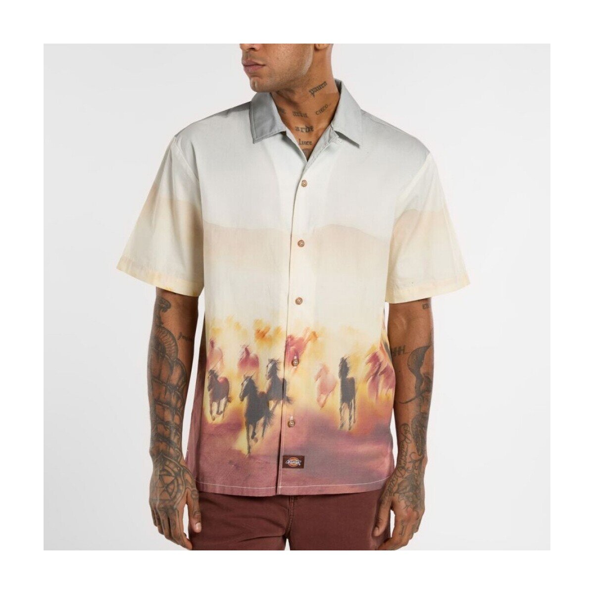 Dickies Îmbracaminte Running Wild Shirt Ss