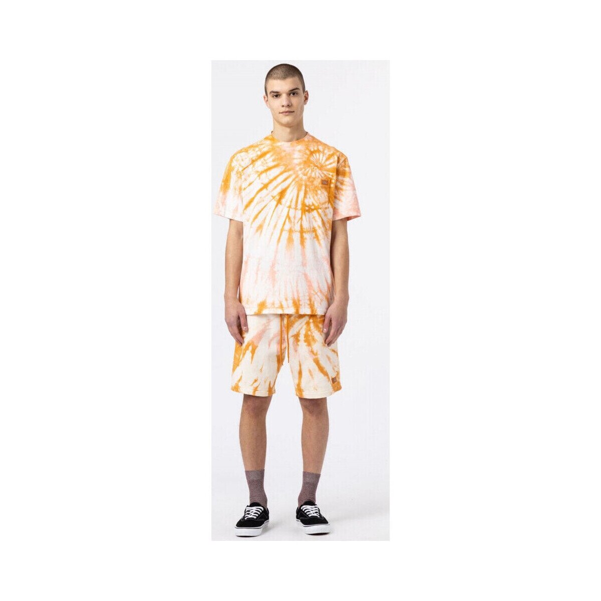 Dickies Îmbracaminte Seatac short