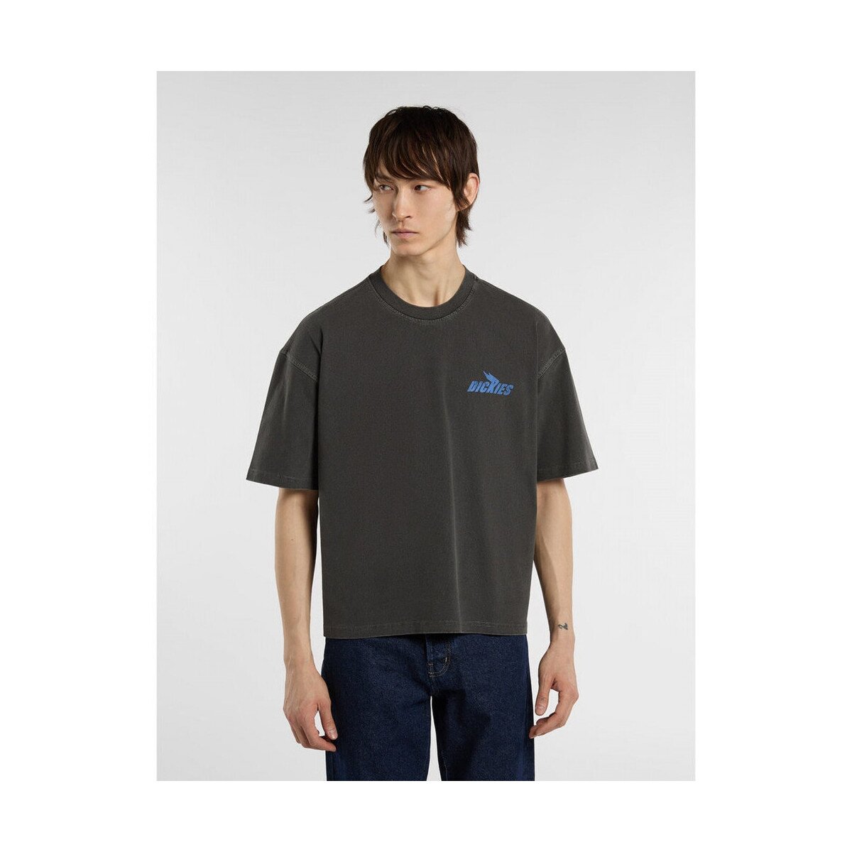 Dickies Îmbracaminte Shonto ss tee