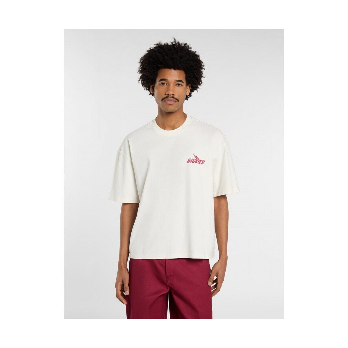 Dickies Îmbracaminte Shonto ss tee