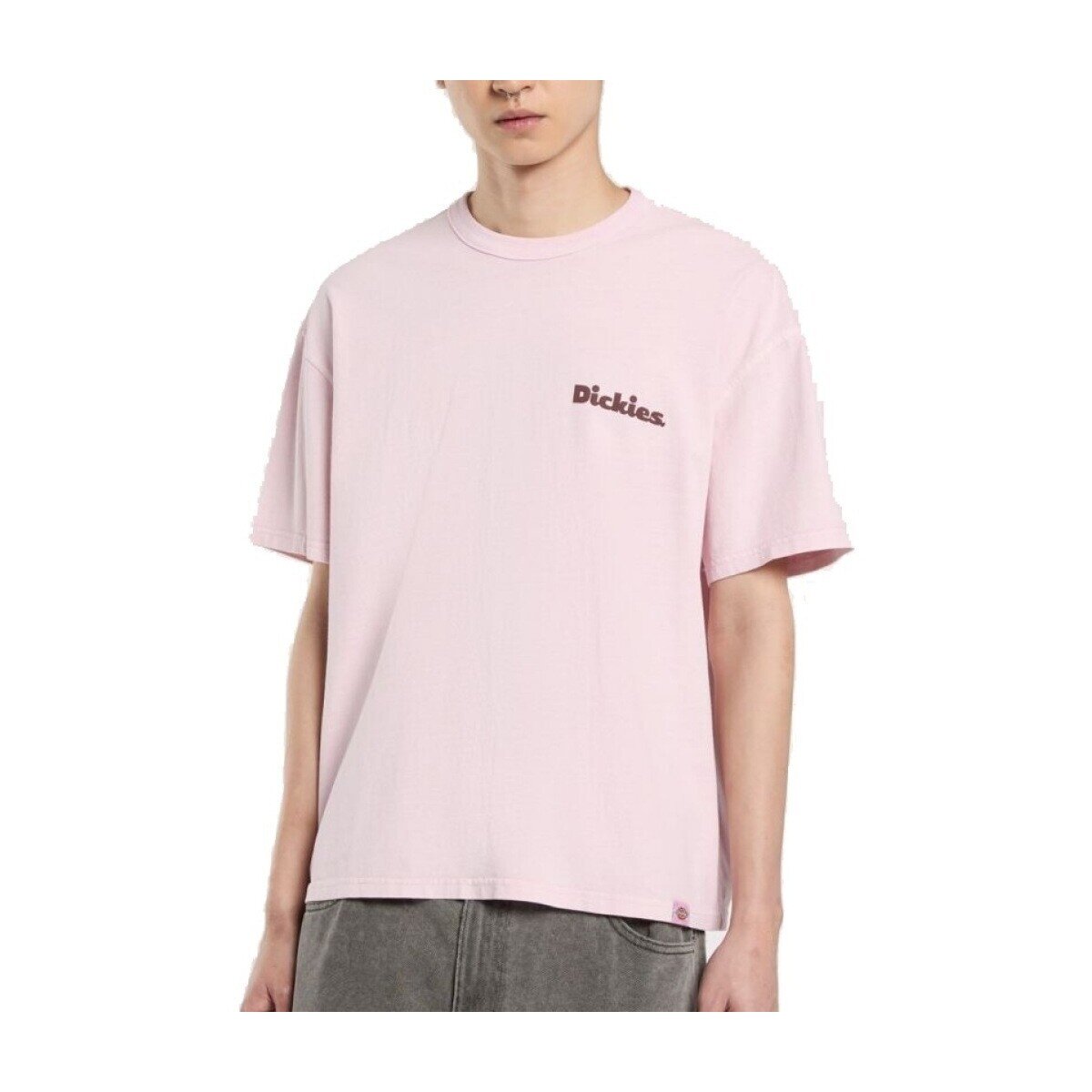 Dickies Îmbracaminte Slayden Gd Tee