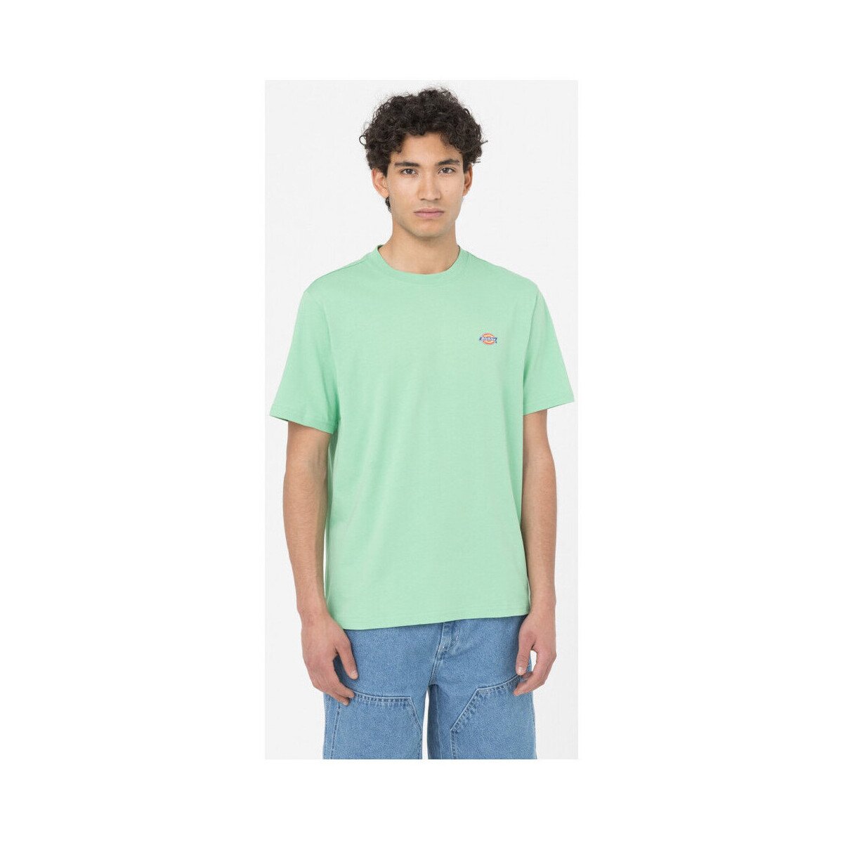 Dickies Îmbracaminte Ss mapleton t-shirt
