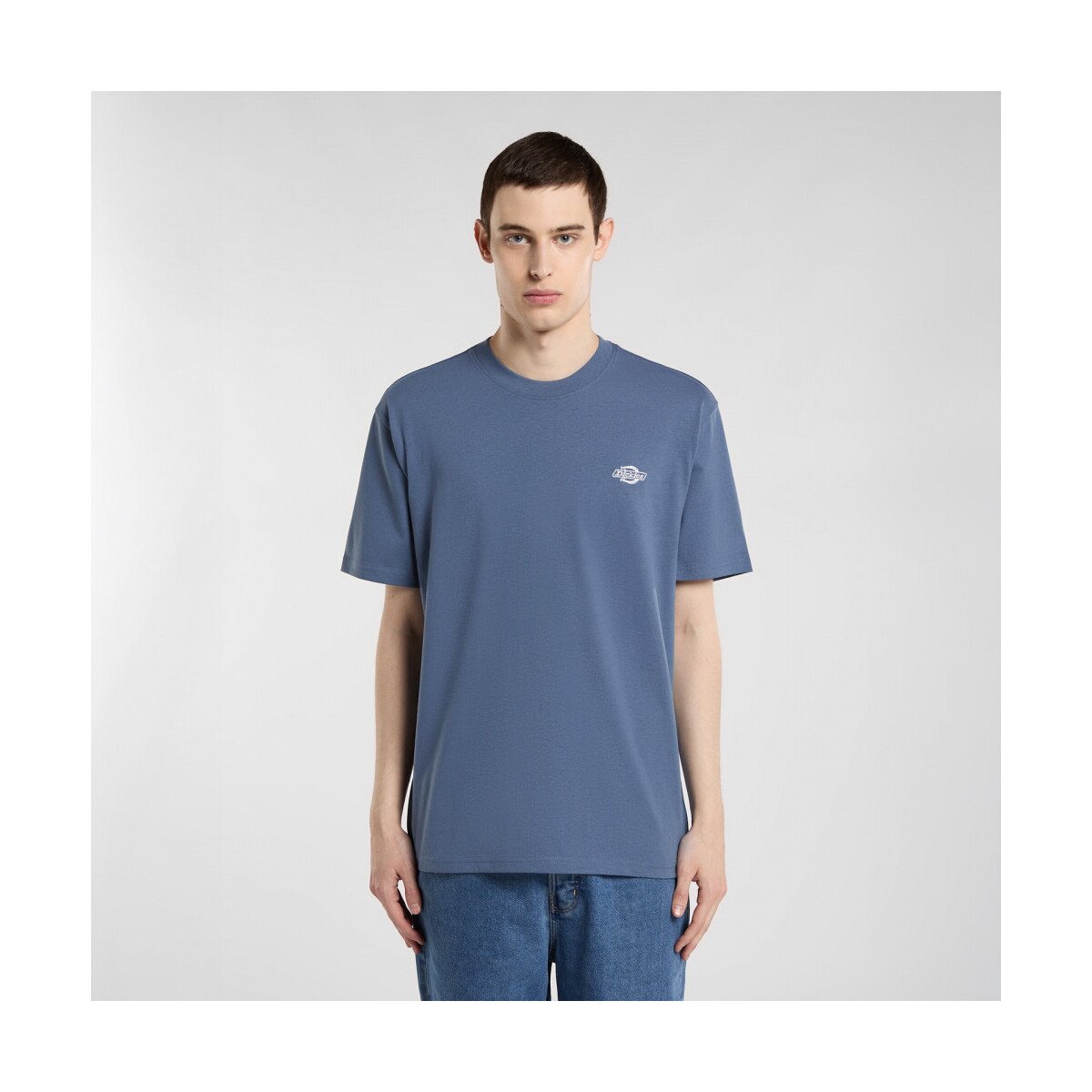 Dickies Îmbracaminte Summerdale ss tee