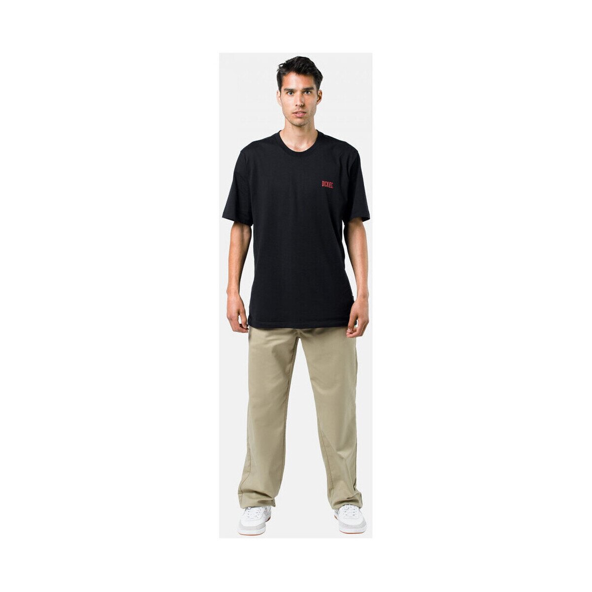 Dickies Îmbracaminte Valley grande pant