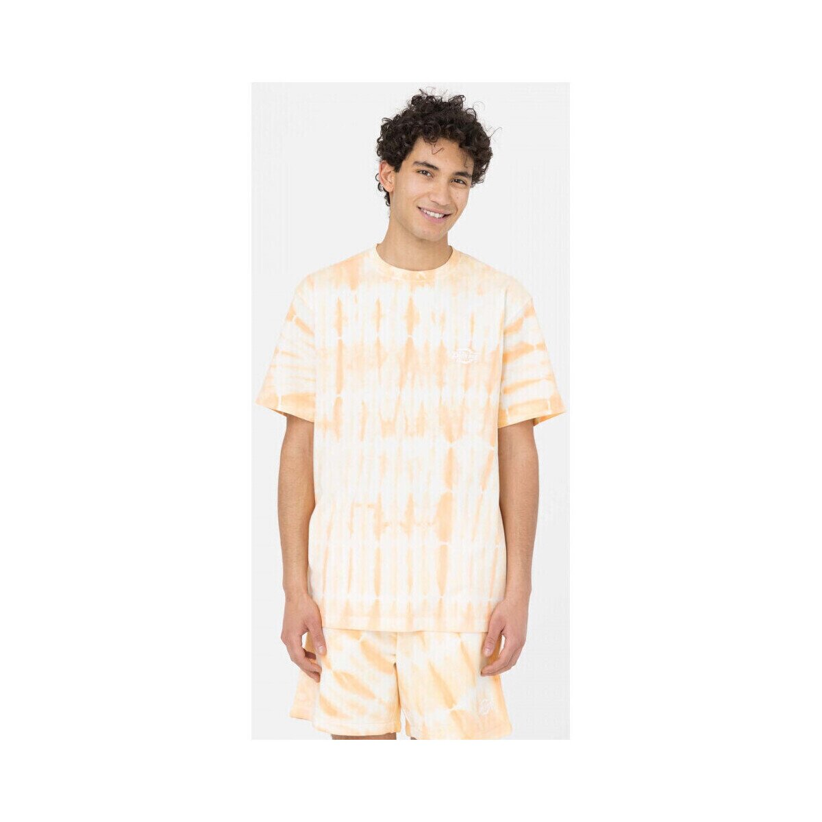 Dickies Îmbracaminte Westfir tee ss