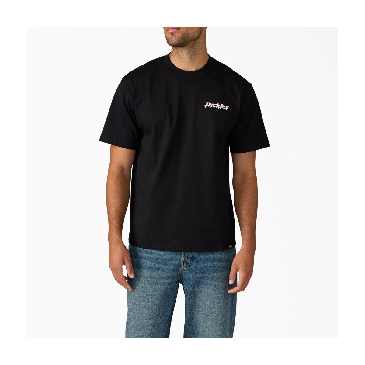 Dickies Pantofi Statesville