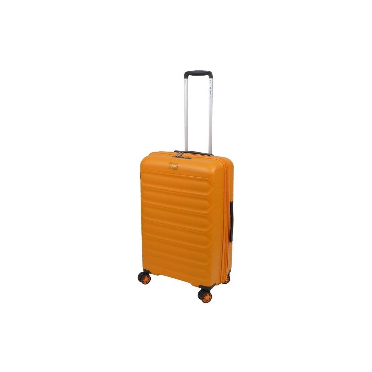 Dielle Genti 10060SE