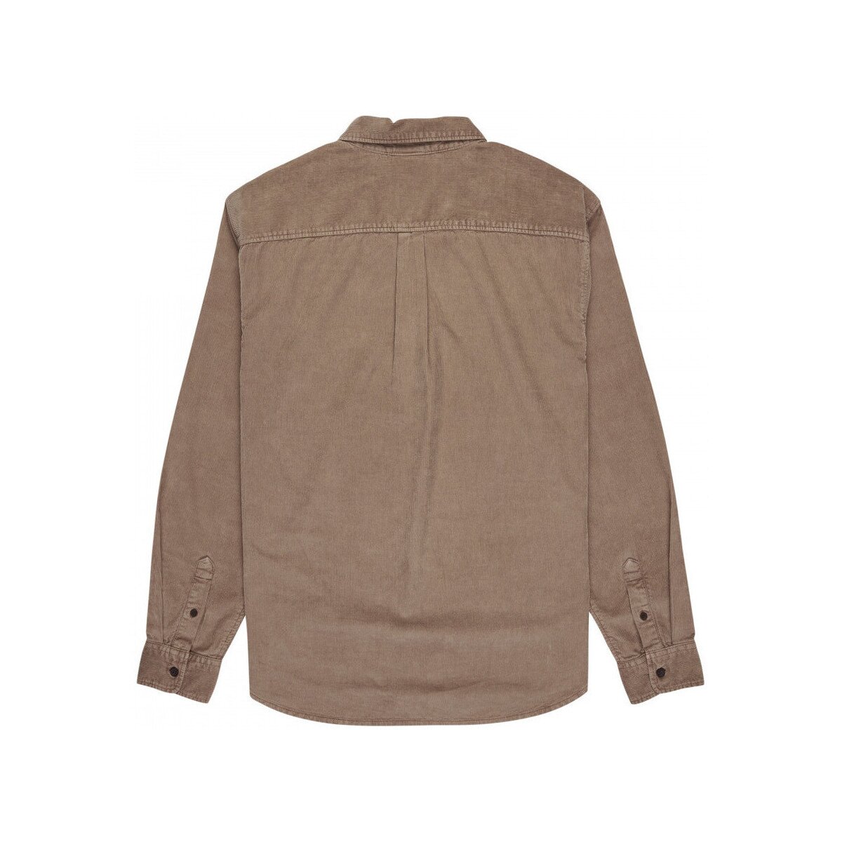 Element Îmbracaminte Button down reg