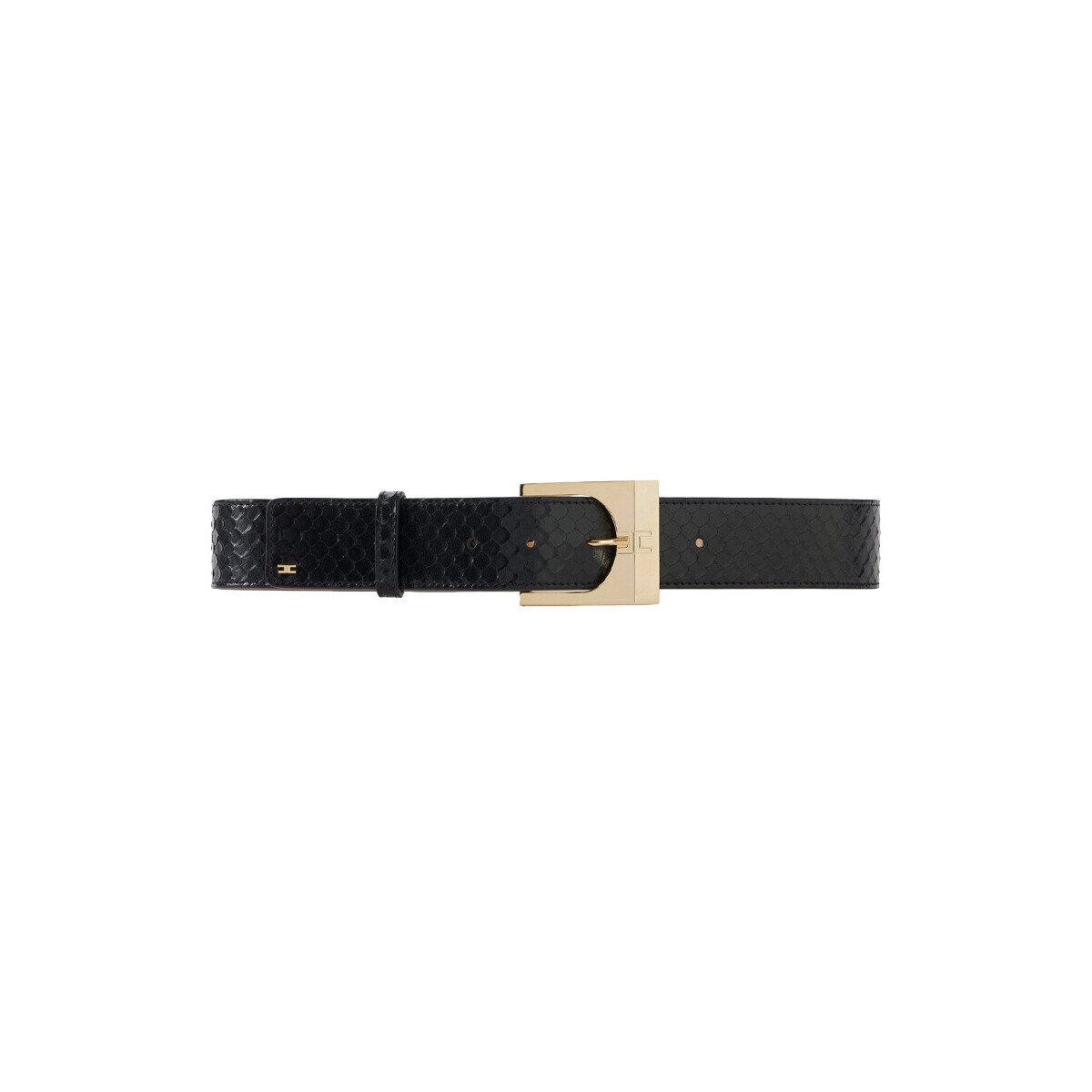 Elisabetta Franchi Accesorii textile ct43s67e2-110