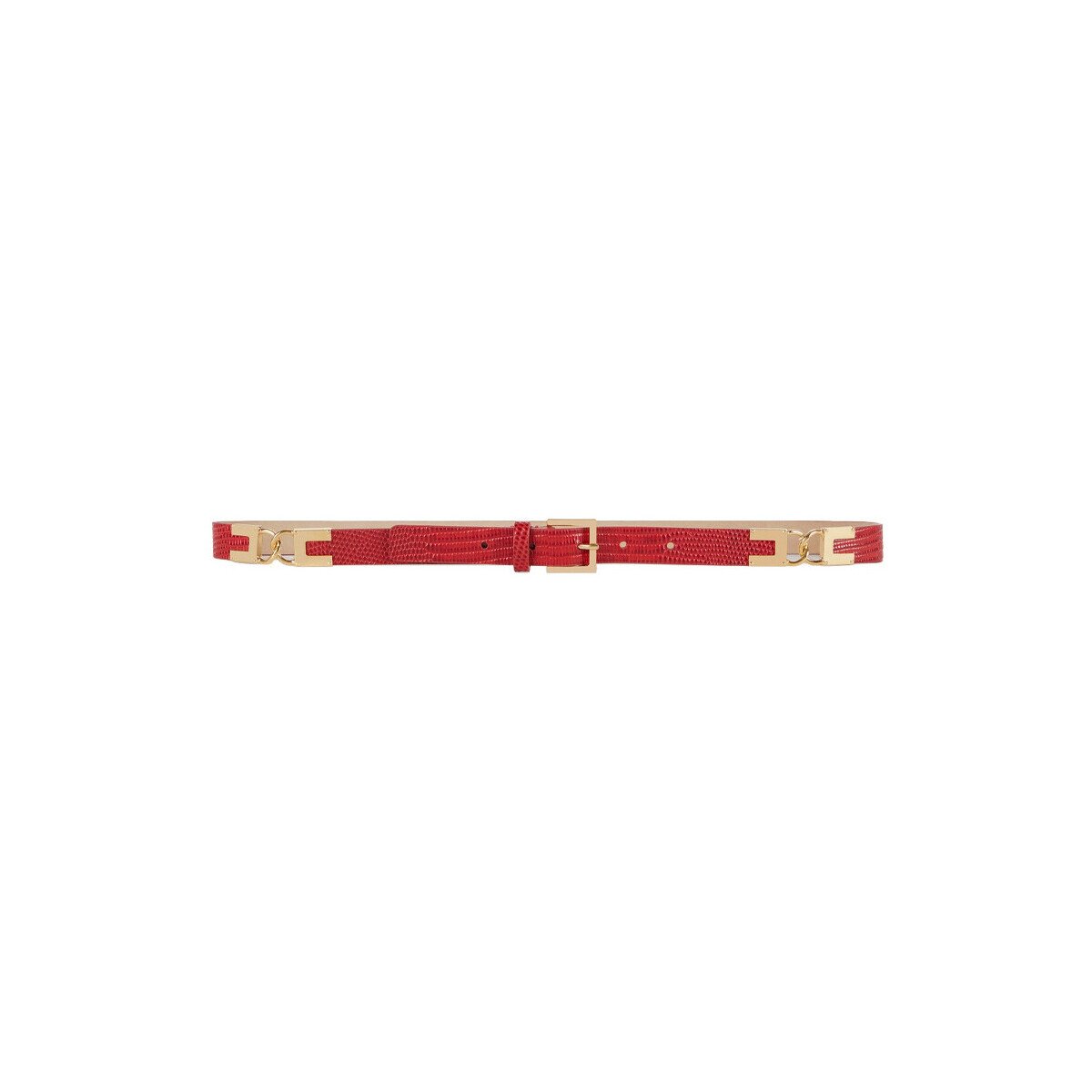 Elisabetta Franchi Accesorii textile ct54s66e2-cg5