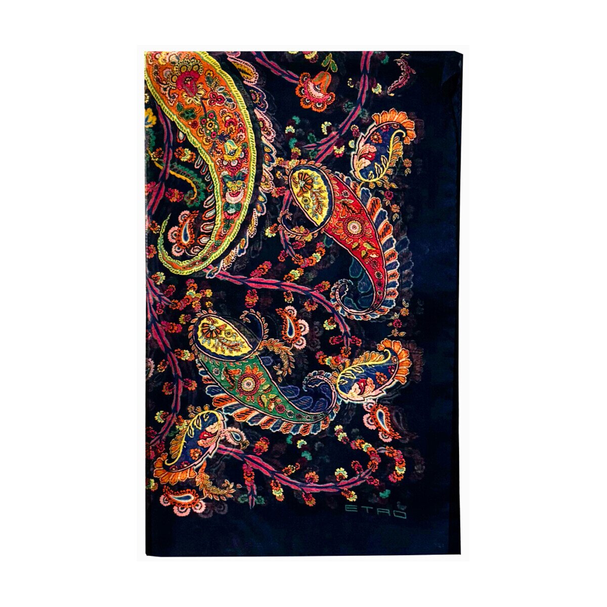 Etro Accesorii textile wata0005_akd94-x0883