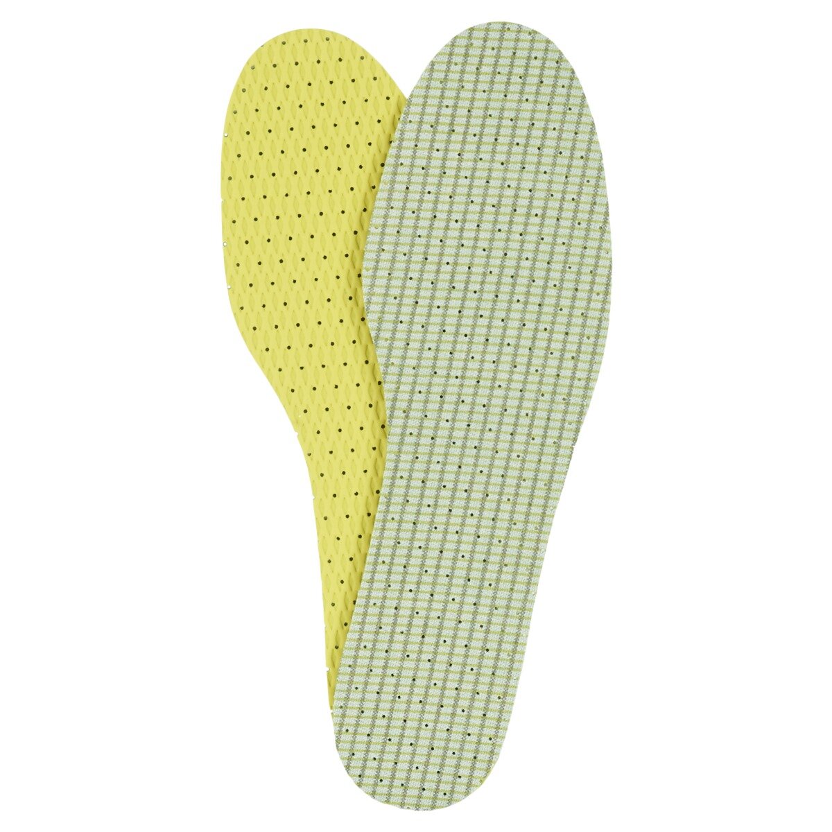 Famaco Accesorii SEMELLE FRAICHE CHLOROPHYLLE HOMME T41-46