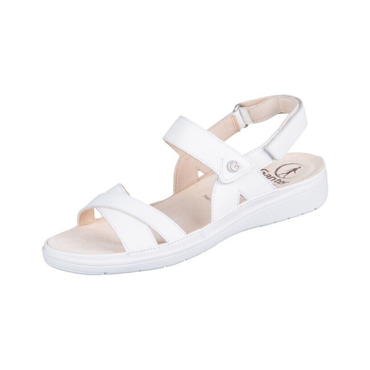 Ganter Pantofi Evi