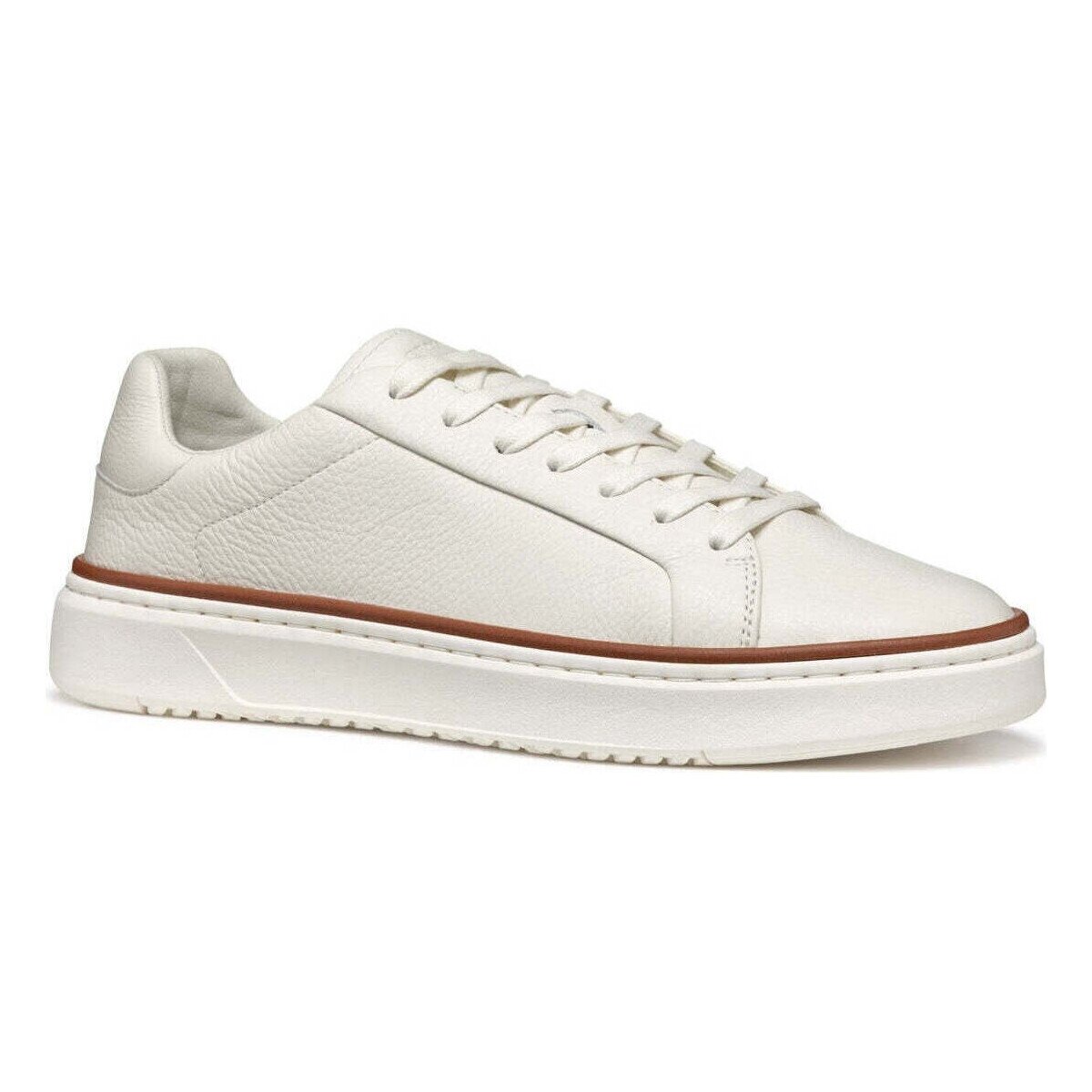Geox Pantofi -