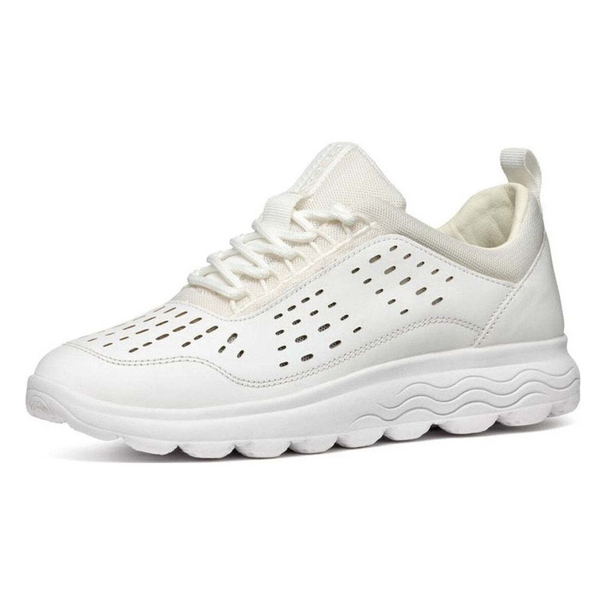 Geox Pantofi -