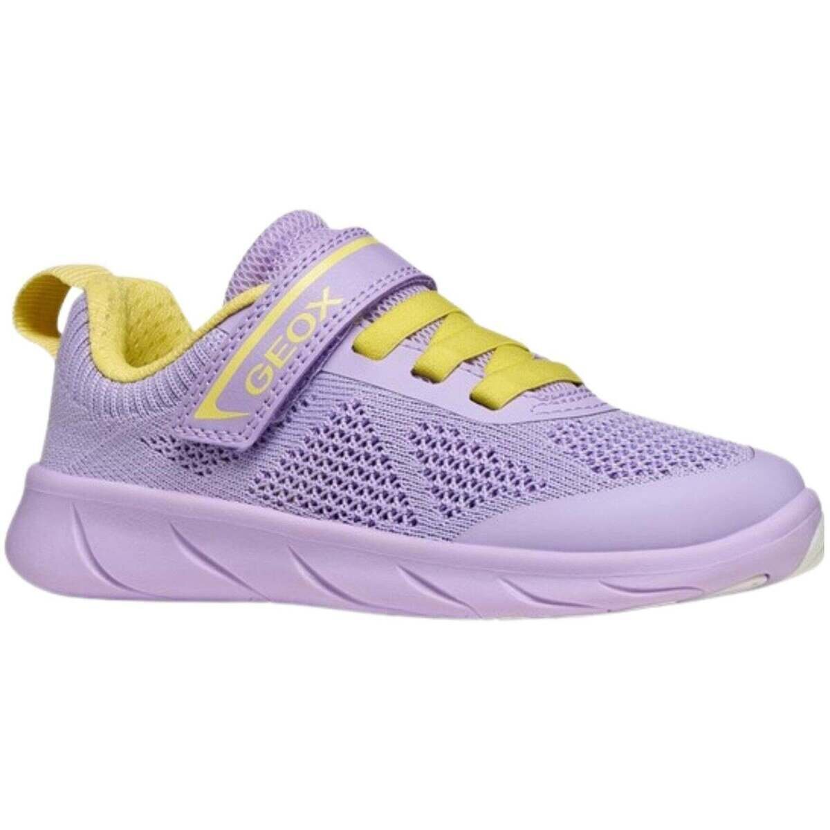 Geox Pantofi -