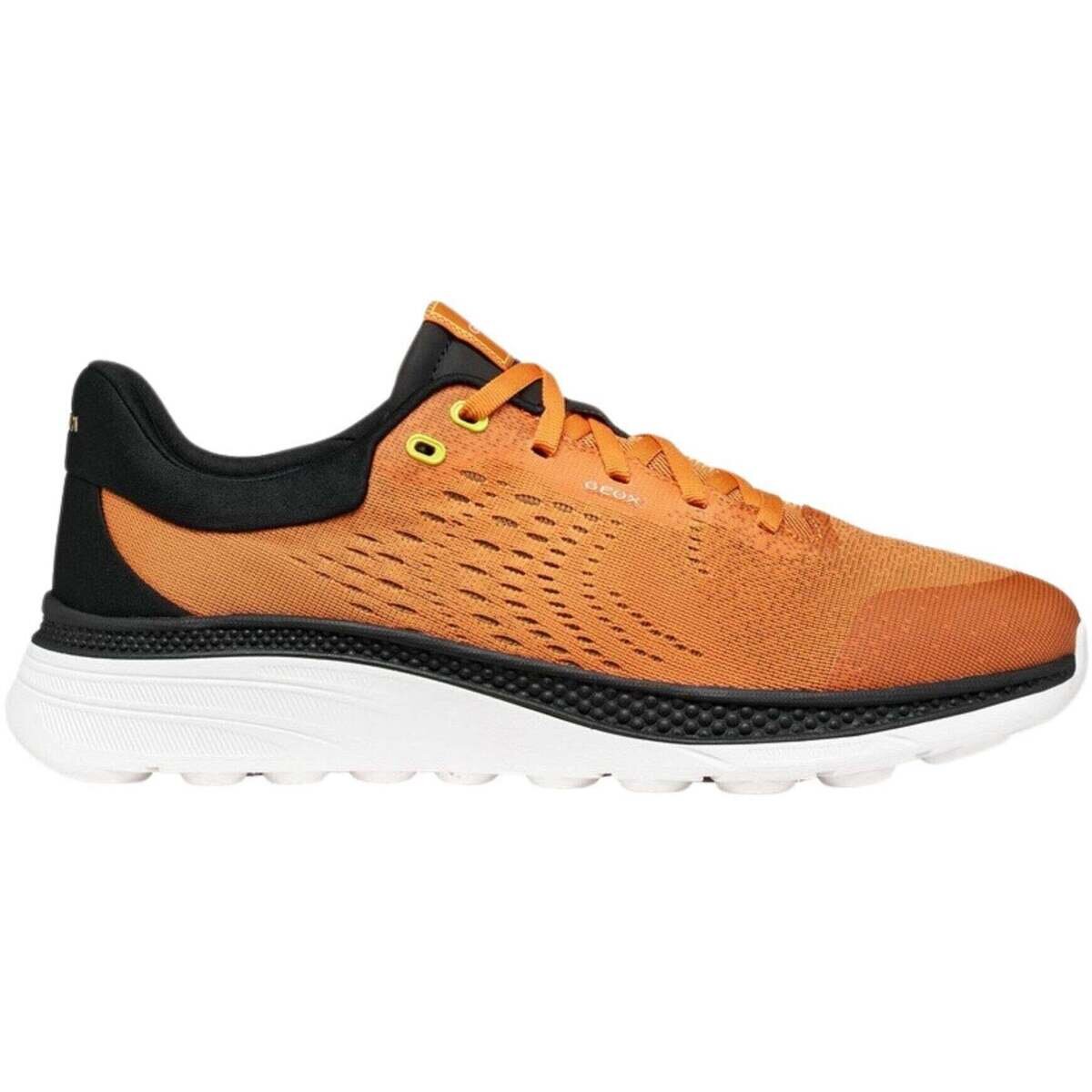 Geox Pantofi -