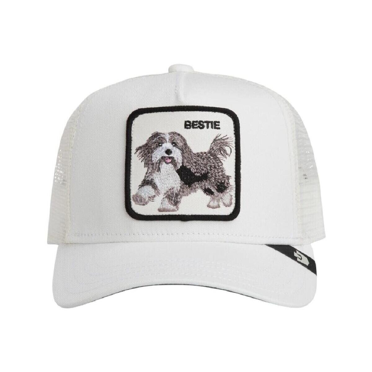 Goorin Bros. Accesorii textile 201-0094 dust