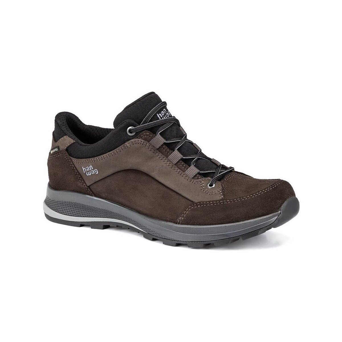 Hanwag Pantofi Banks Low Gtx