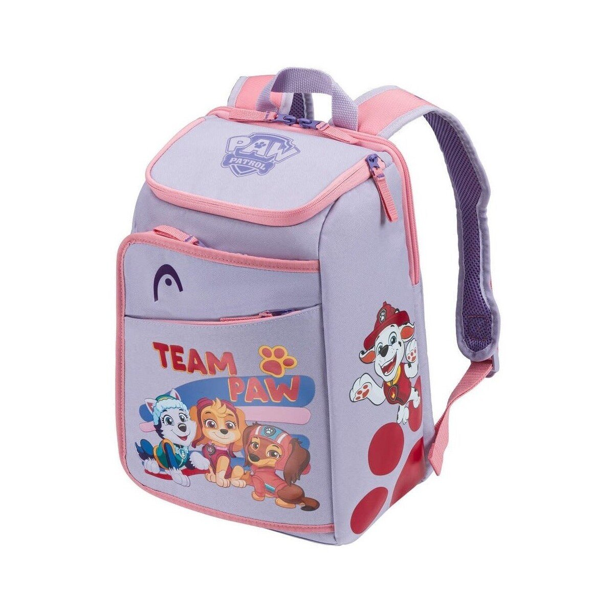 Head Genti Paw Patrol