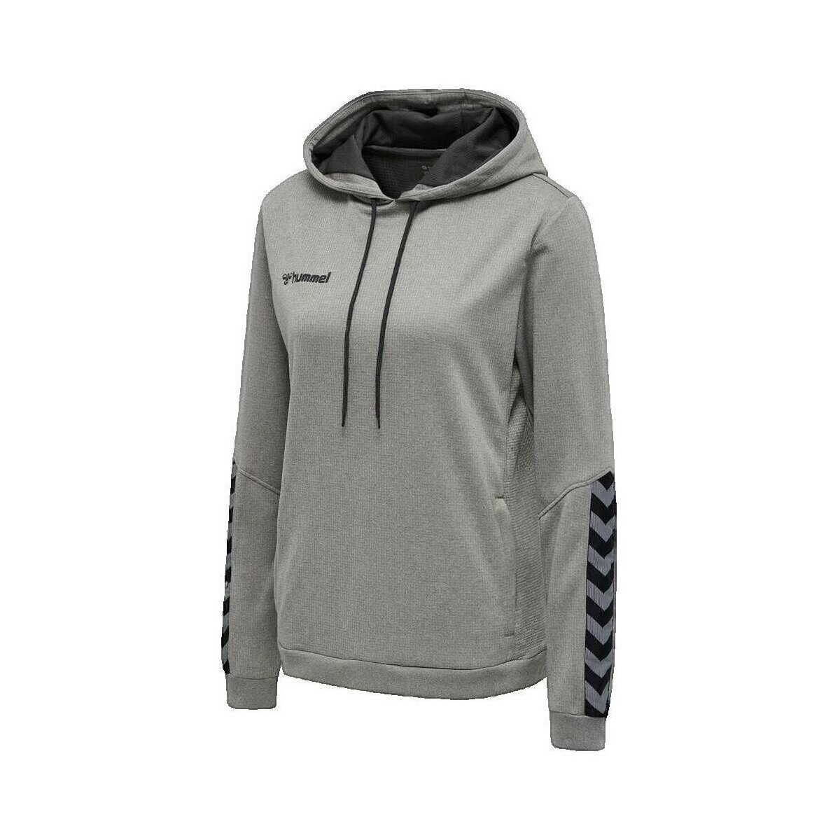 hummel Îmbracaminte Sweat à capuche Authentic gris