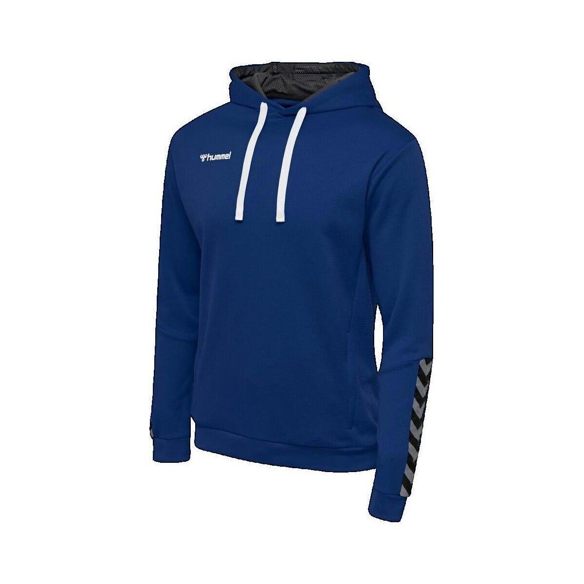 hummel Îmbracaminte Sweat à capuche Authentic Poly