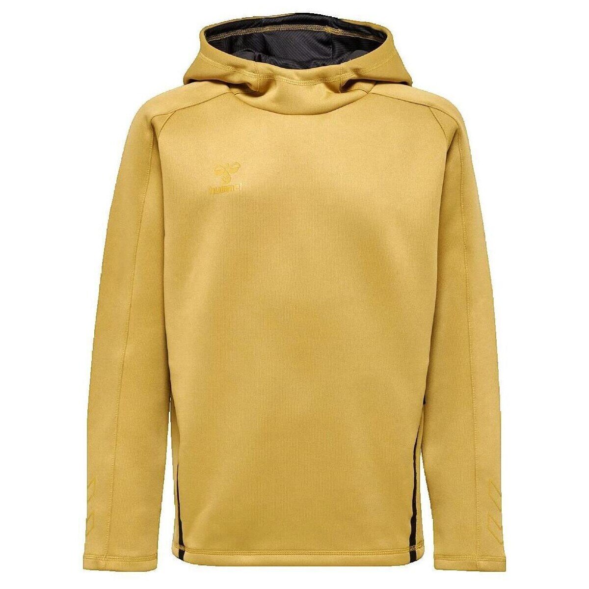 hummel Îmbracaminte Sweat à capuche Cima XK doré
