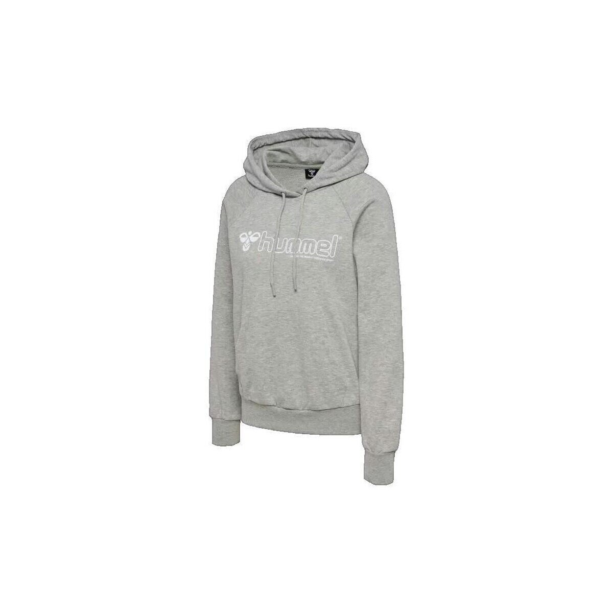 hummel Îmbracaminte Sweat à capuche Noni 2.0 gris