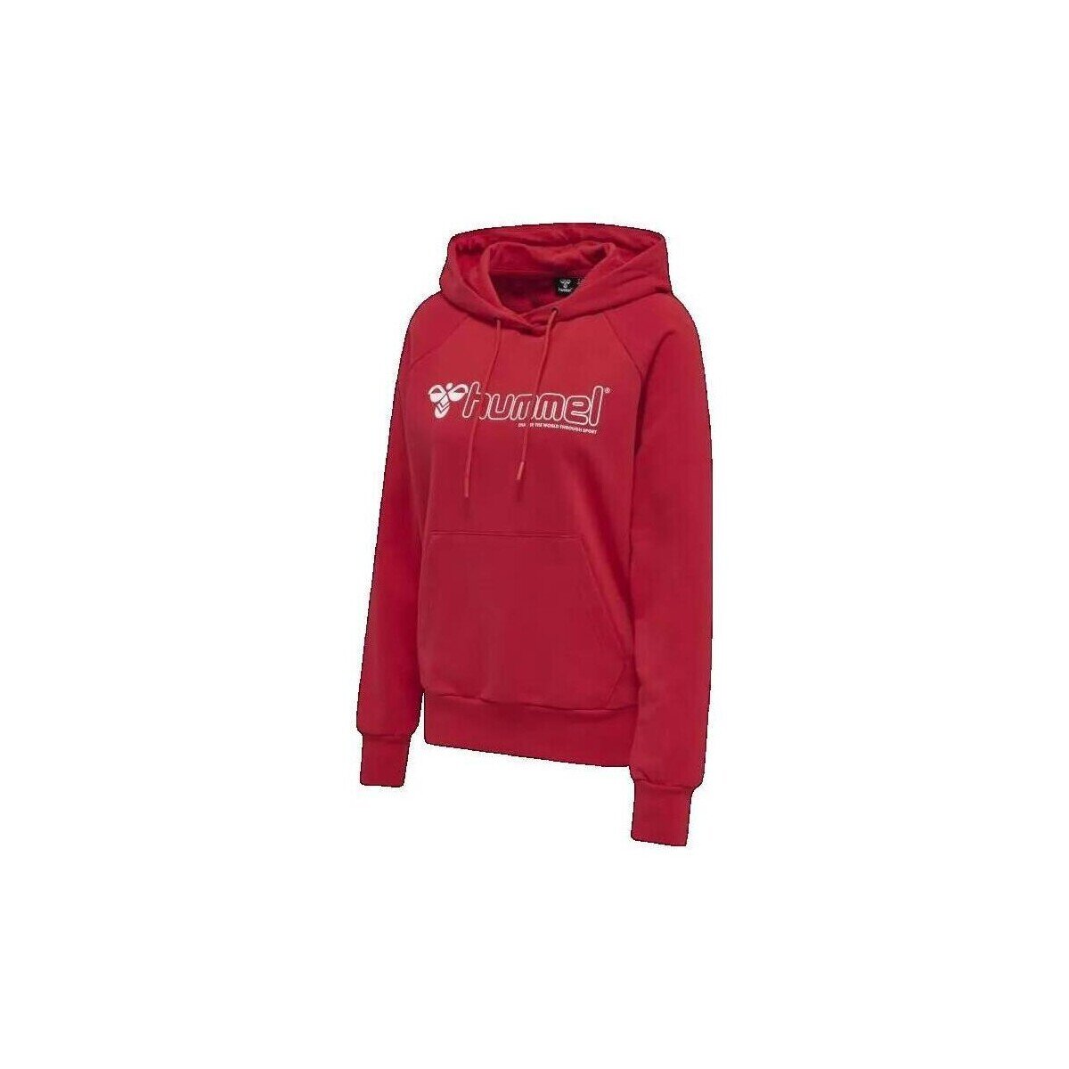 hummel Îmbracaminte Sweat à capuche Noni 2.0 rouge