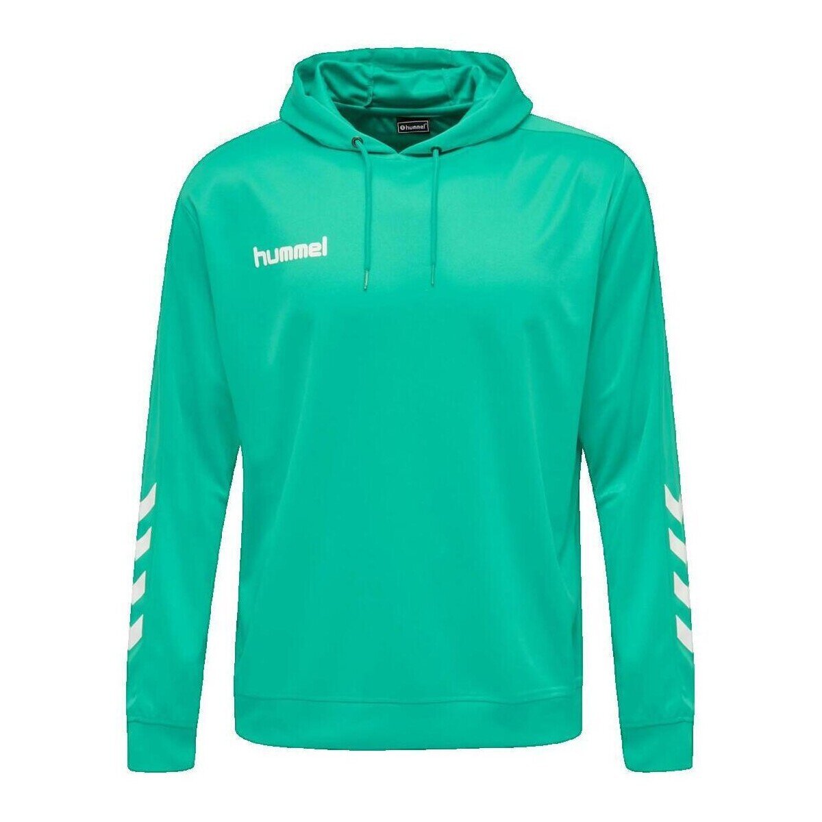 hummel Îmbracaminte Sweat à capuche Promo Poly vert