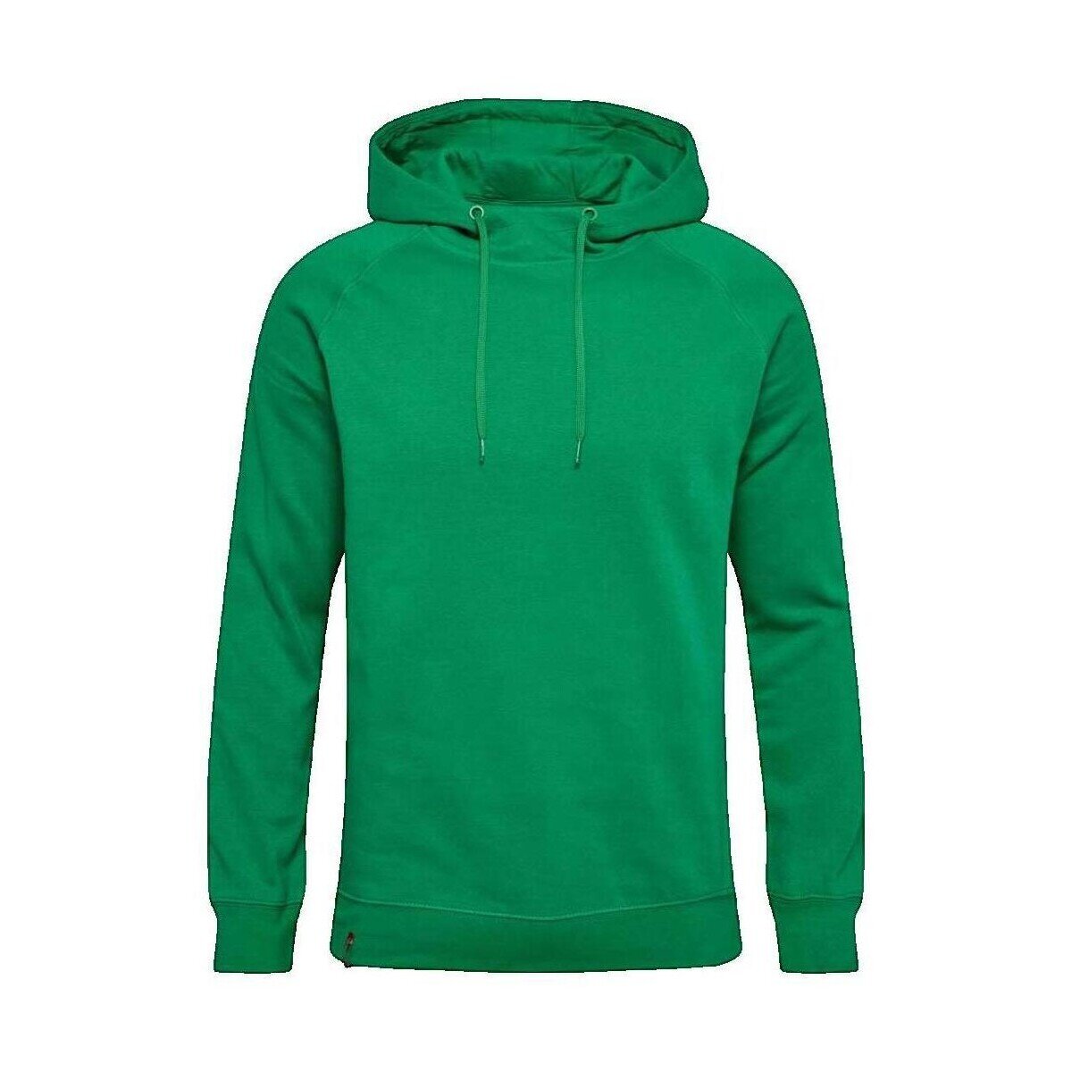 hummel Îmbracaminte Sweat à capuche Red Classic